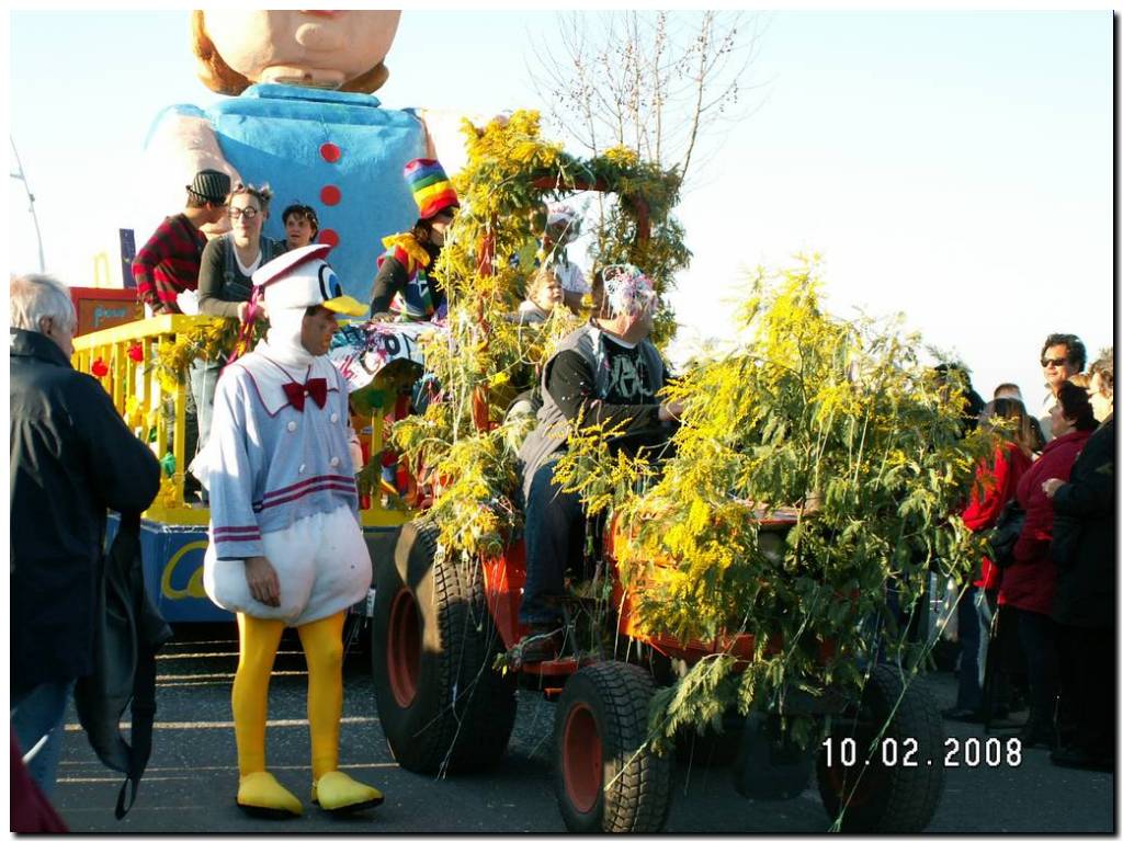 040_fete_mimosa.JPG