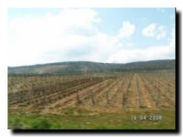 002_beaune.JPG