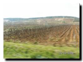 005_beaune.JPG