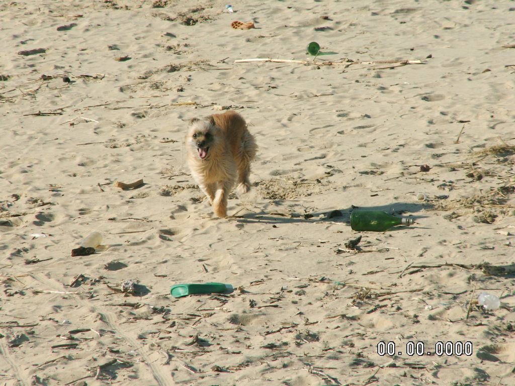 PICT0184.JPG