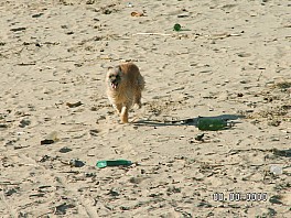 PICT0184.JPG
