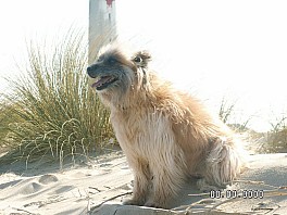 PICT0193.JPG